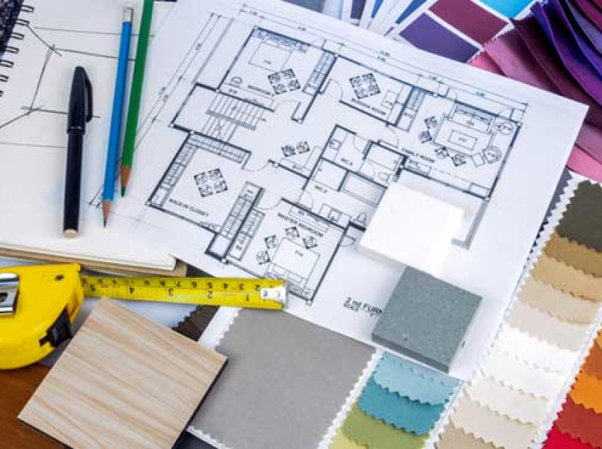 Foto Shutterstock planta e cores